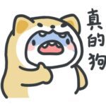 疯狗强尼的头像-VAM®克苏恩资源社区