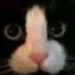 JansonYan的头像-VAM®克苏恩资源社区