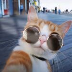 迴影的头像-VAM®克苏恩资源社区